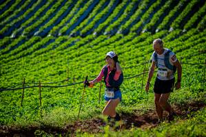 BIB: 756, 9642
                            <button type="button" onclick="openModal(19160554)" class="btn btn-primary btn-sm float-right btn-popup" data-toggle="modal" data-target=".modal-high-quality">
                        <i class="fas fa-shopping-cart"></i> Add to Cart
                    </button>
                                            <button type="button" onclick="isThisMe(19160554, true)" class="btn btn-success btn-sm float-right btn-popup btn-isme hidden" data-toggle="tooltip" data-placement="bottom" title="นี่คือรูปของคุณใช่ไหม คลิกที่นี่เพื่อเอาเข้าอัลบั้ม">
                        <i class="fas fa-plus"></i> Add to album
                    </button>
                    <button type="button" onclick="isThisMe(19160554, false)" class="btn btn-warning btn-sm float-right btn-popup btn-isnotme hidden">
                        <i class="fas fa-ban"></i> Remove from album
                    </button>